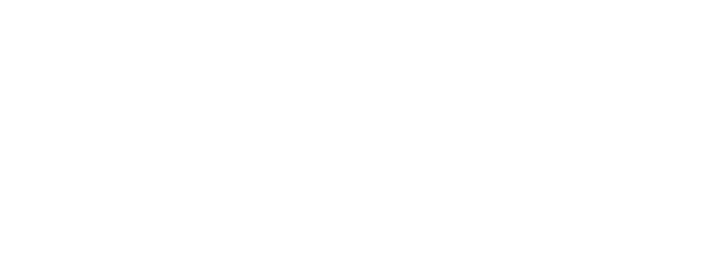 logo 2 white